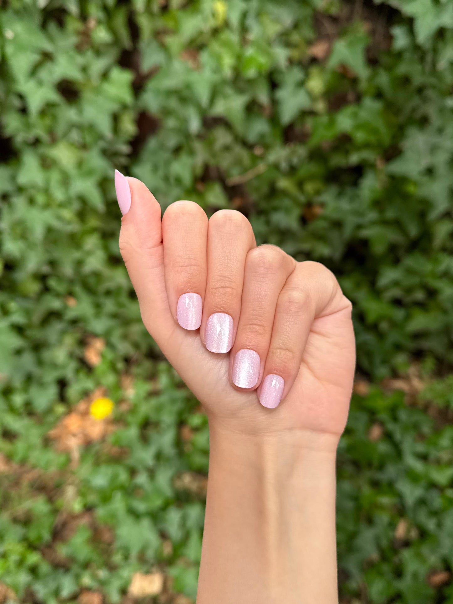 Sugar Mist Nails