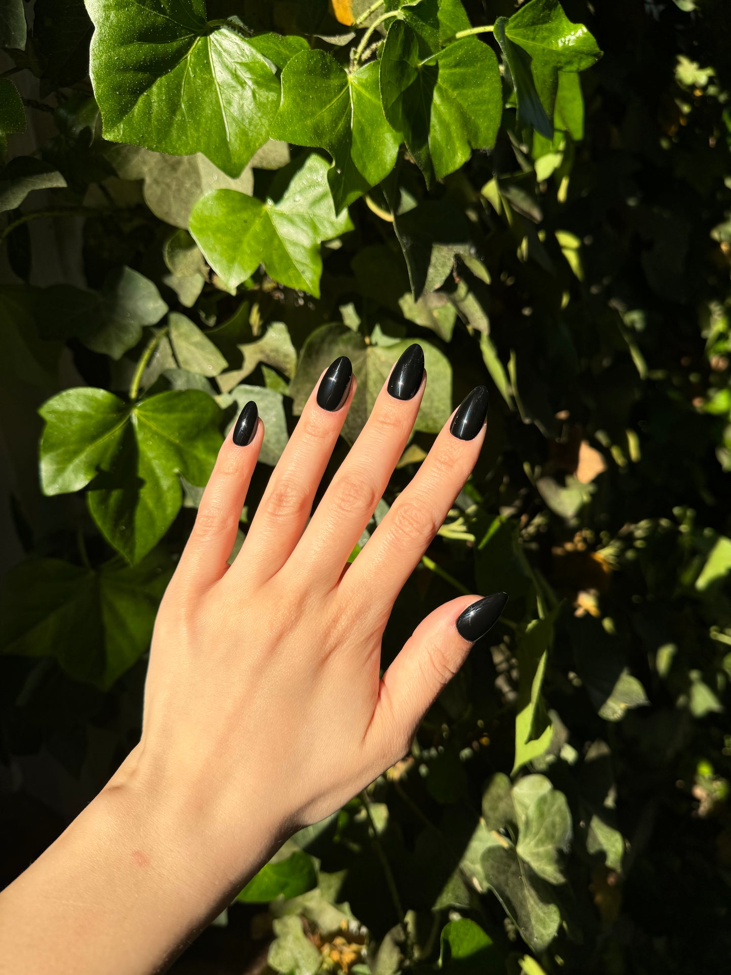 Black Widow Nails