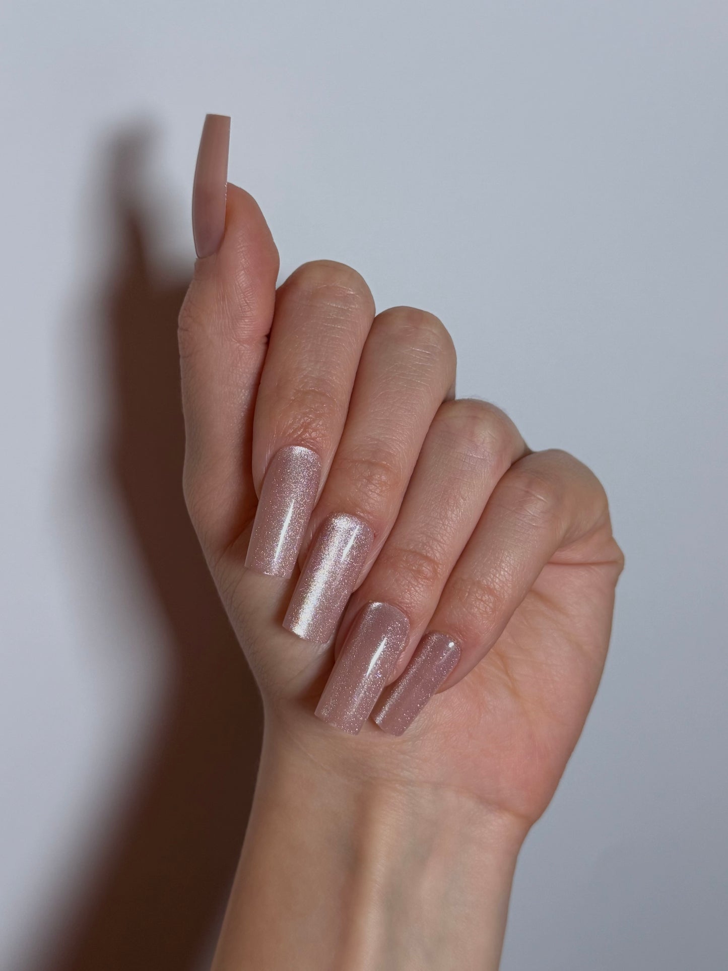 Silver Taupe Nails