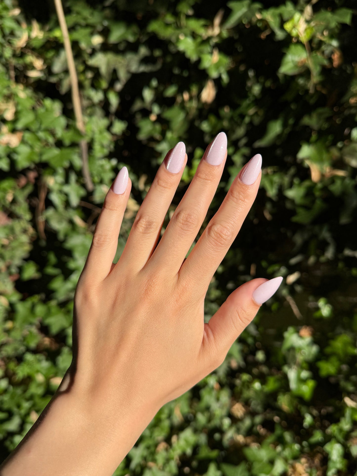 Pink Fairy Nails