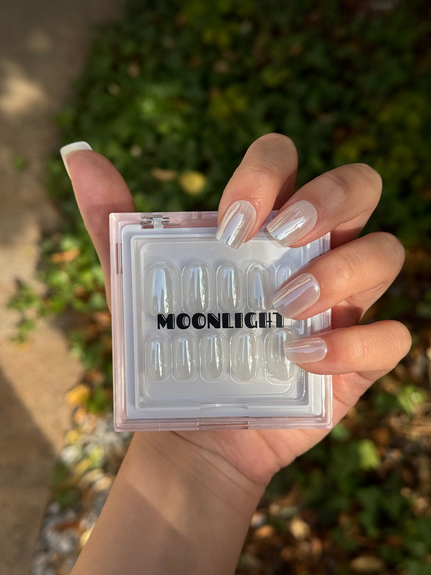Frosted Nails