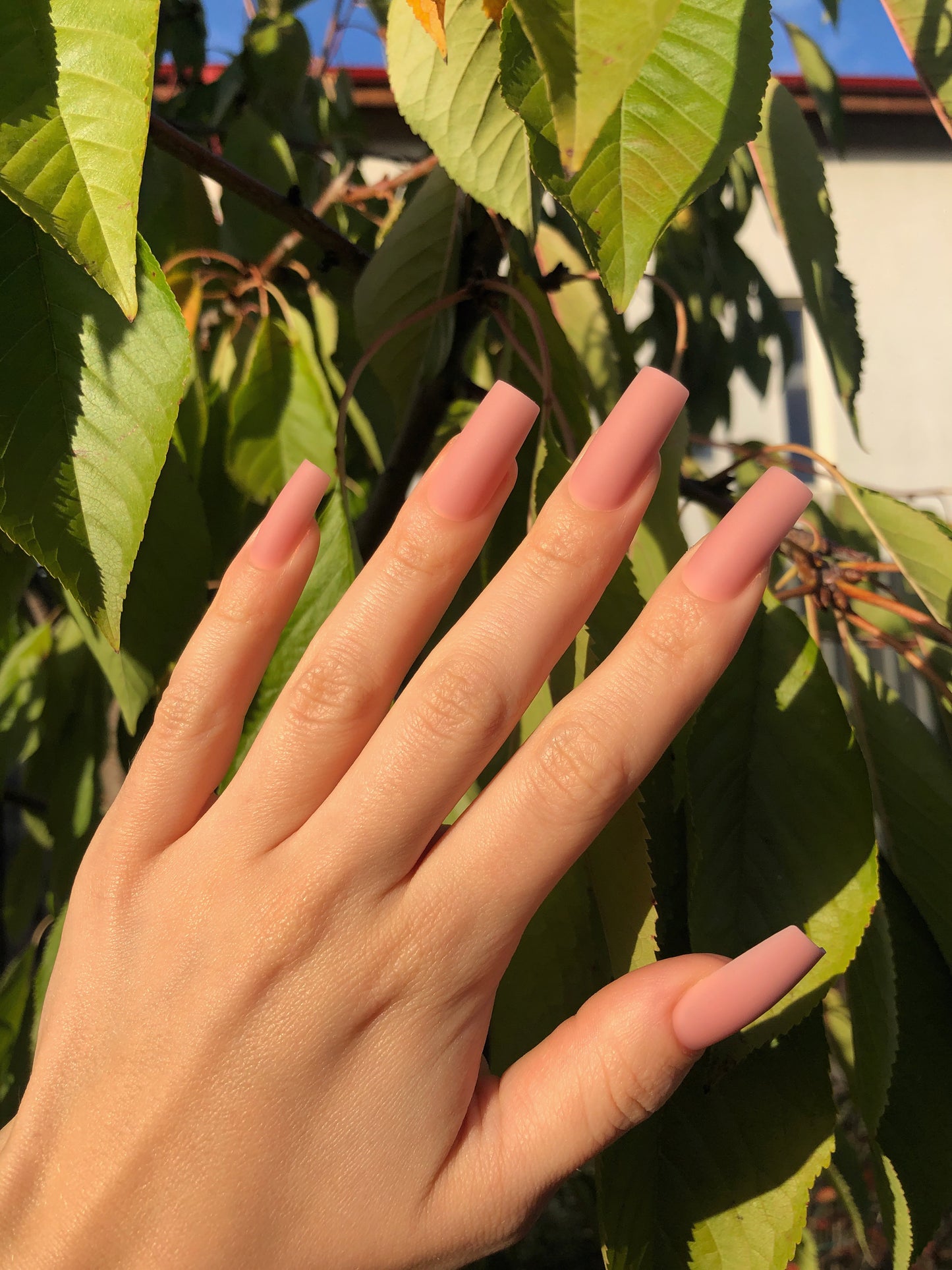 Naked Nails