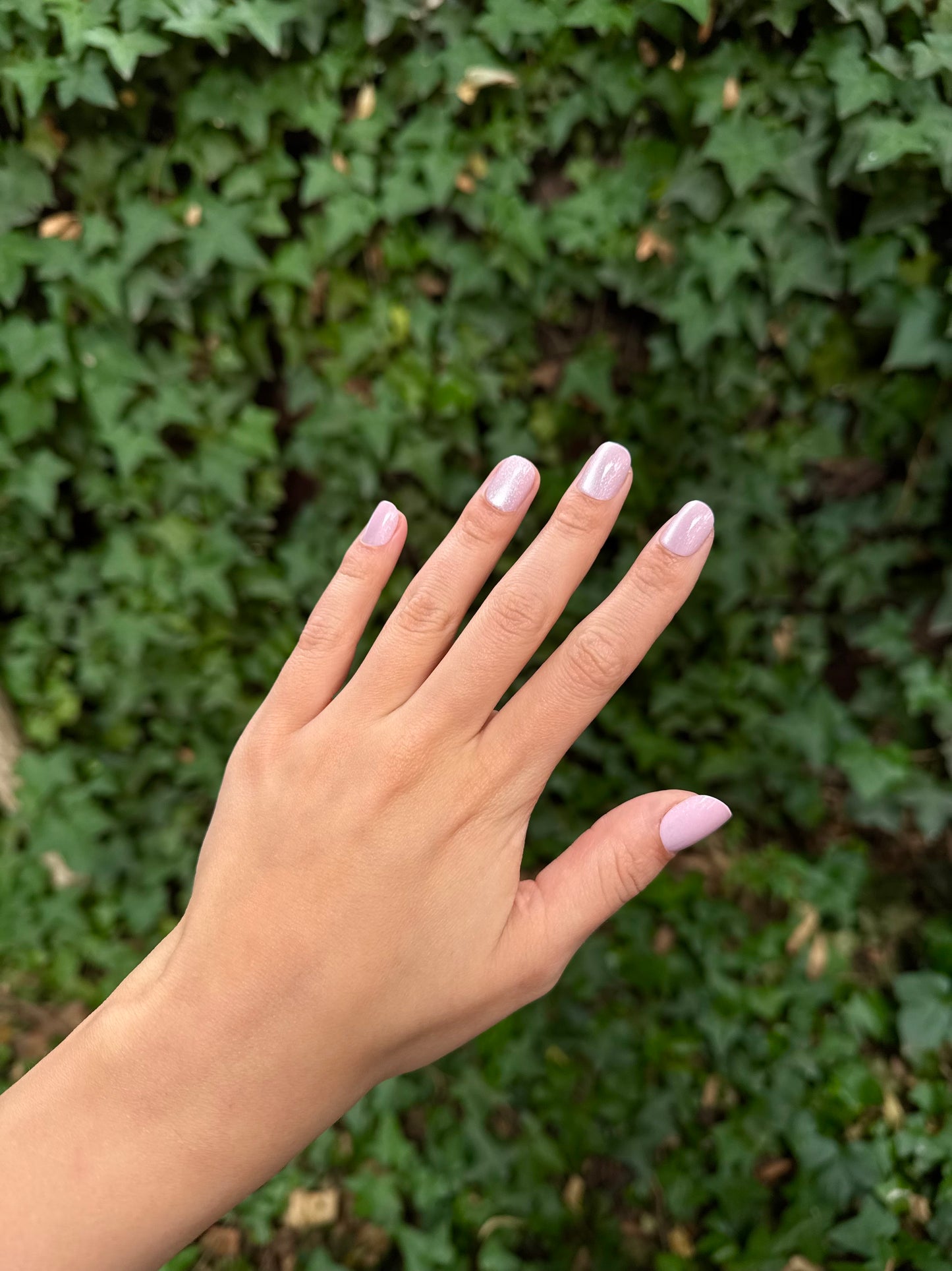 Sugar Mist Nails