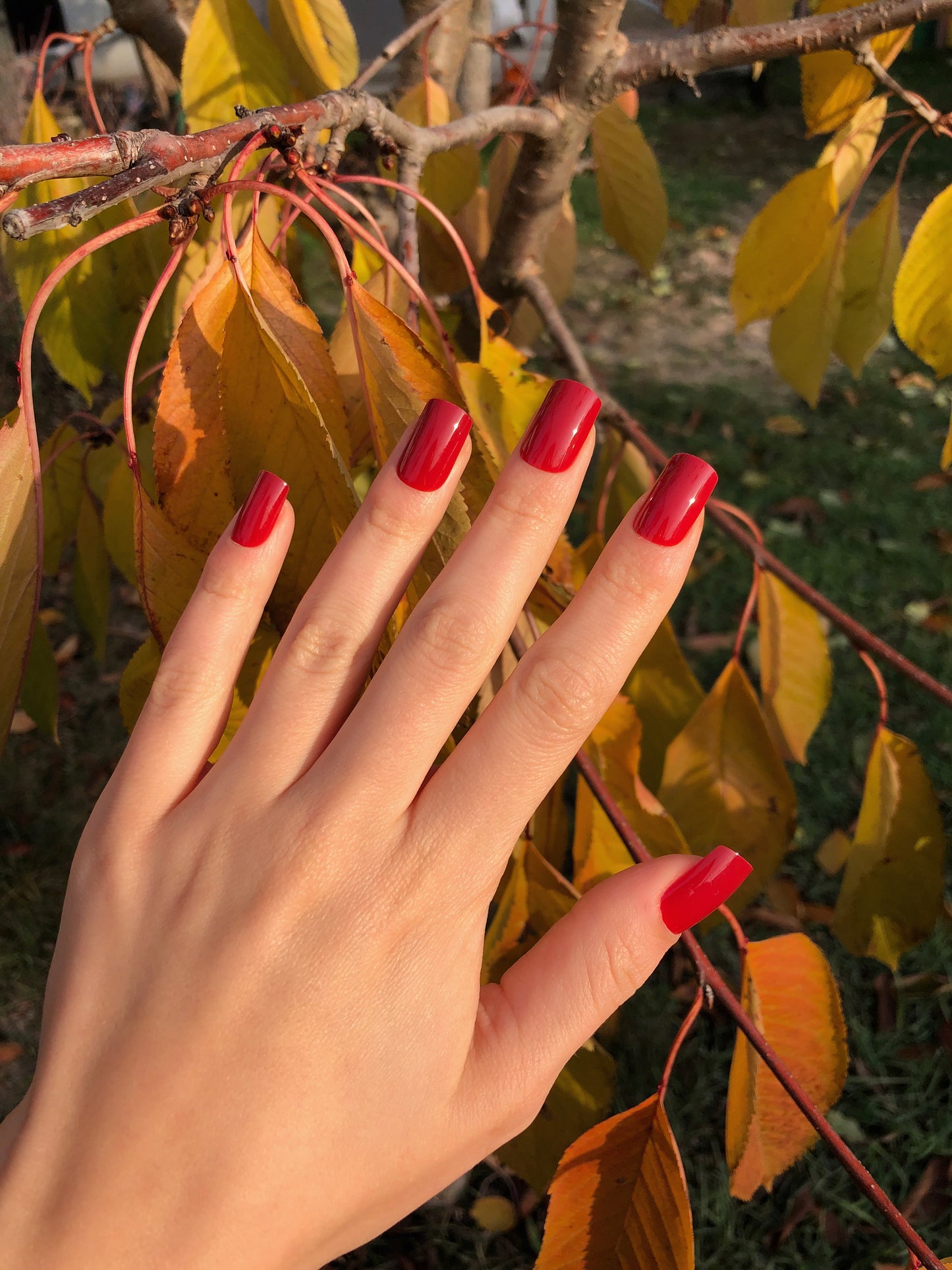 Cherry Nails