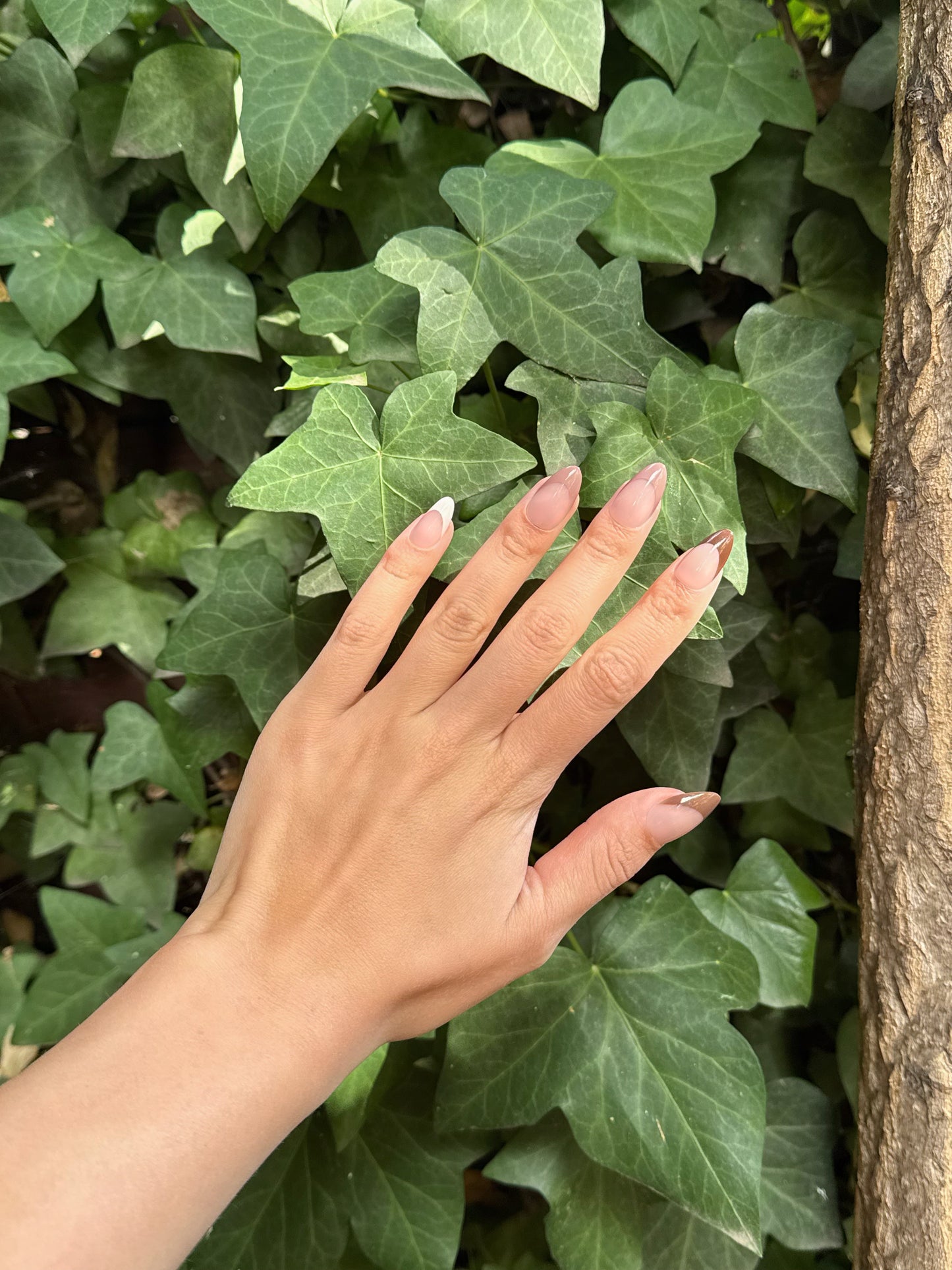 Coffee French Nails