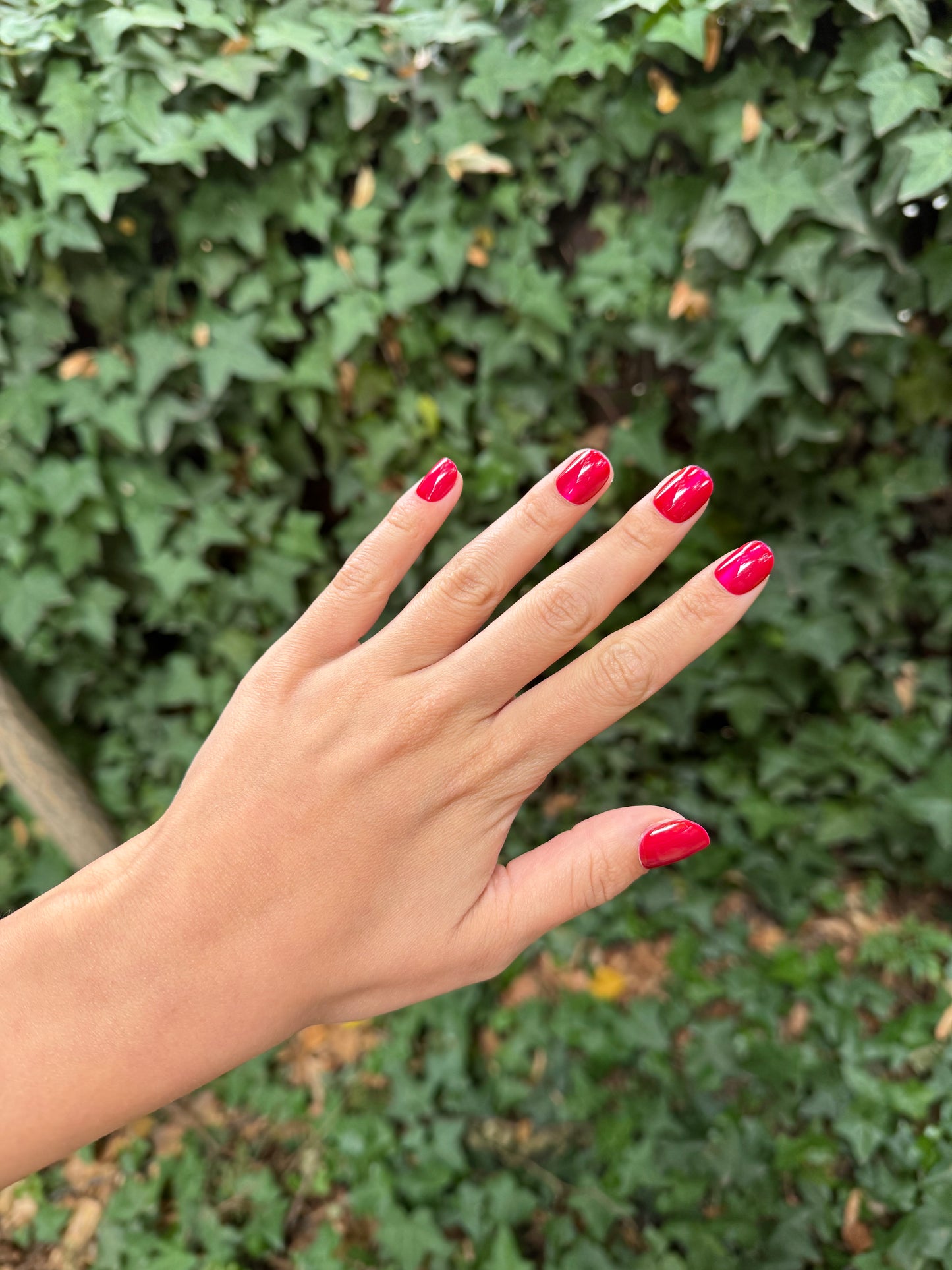 Aurora Nails