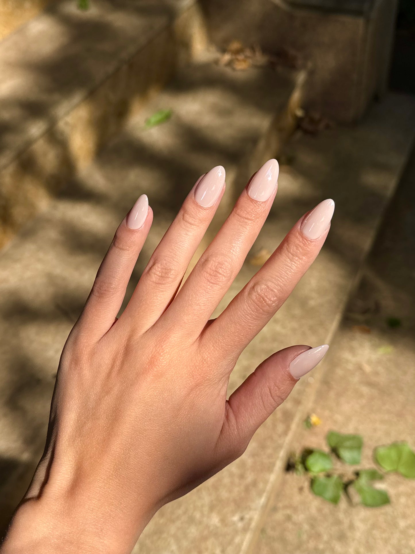Glazed Almond Nails