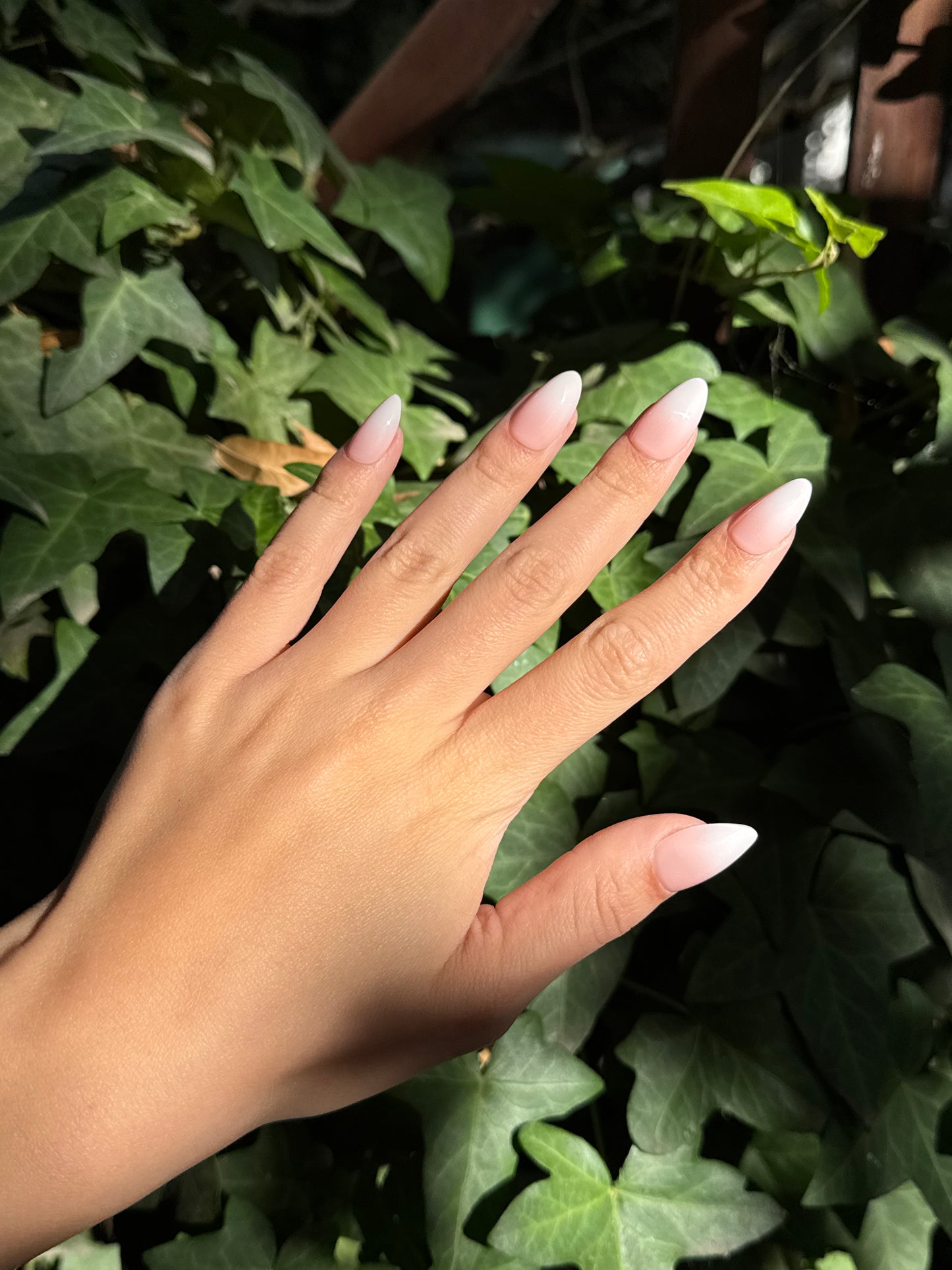 Milky Rose Nails