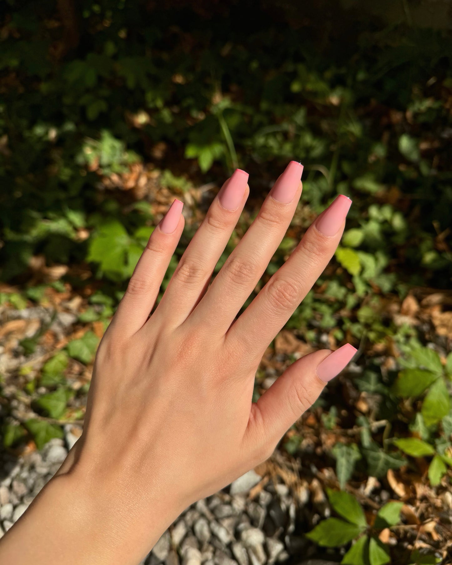 Rose Blush Nails