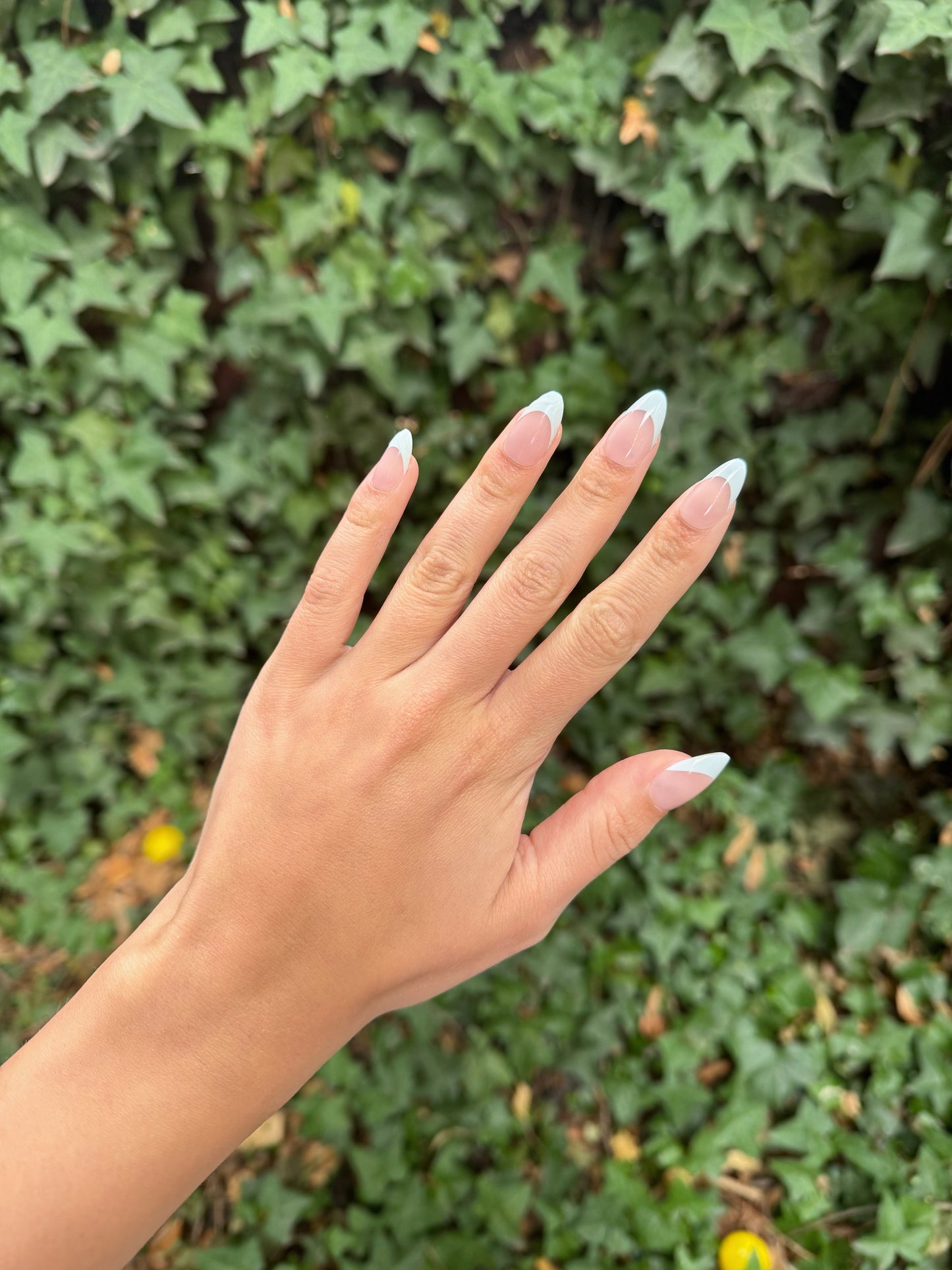Aqua Nails