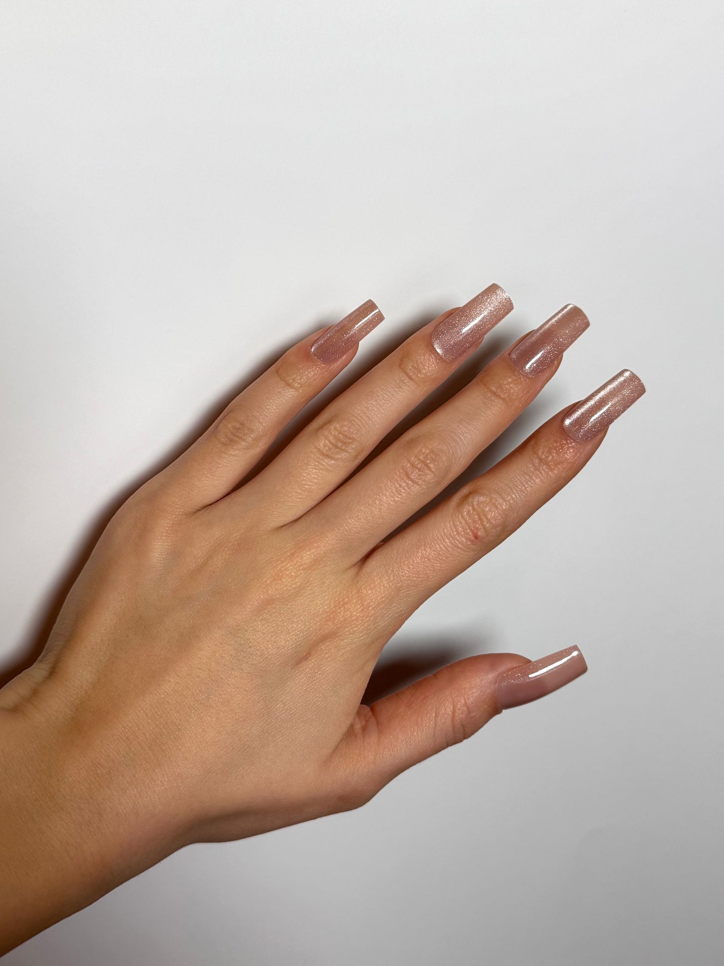 Silver Taupe Nails
