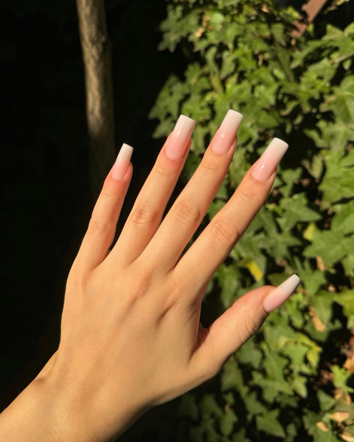 Pink Nude Nails