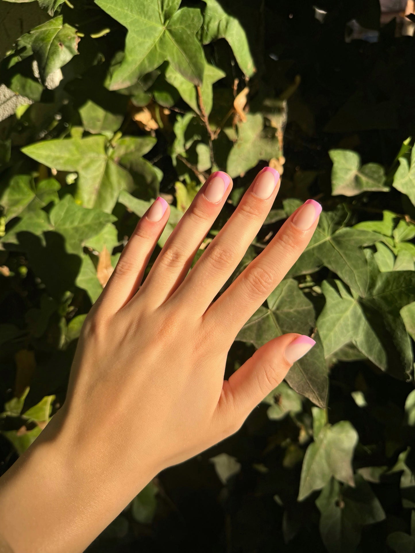 Pink French Nails