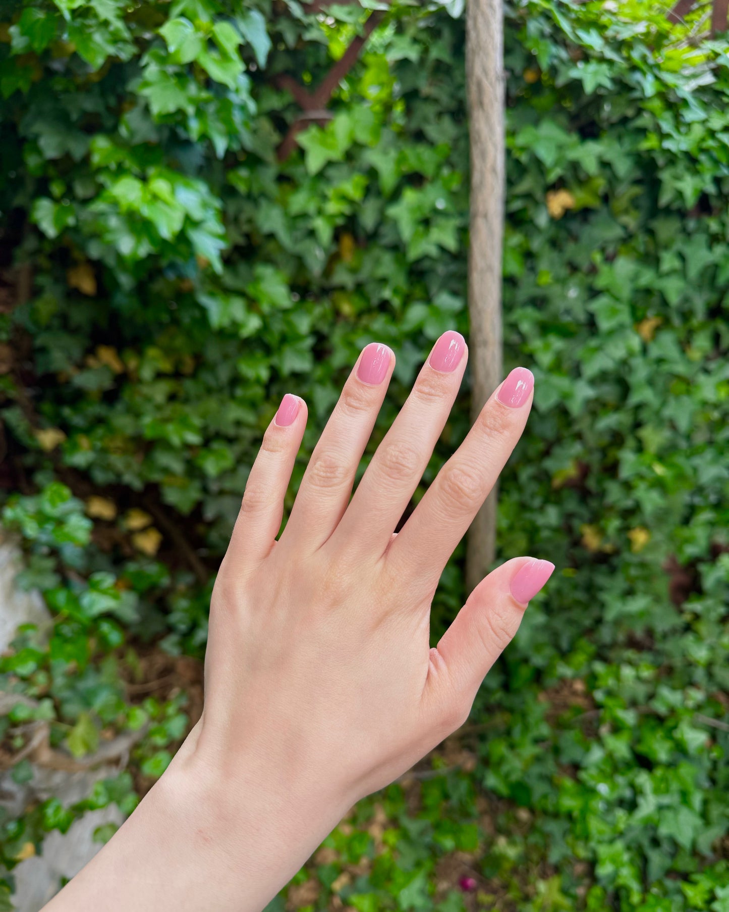 Blush Babe Nails