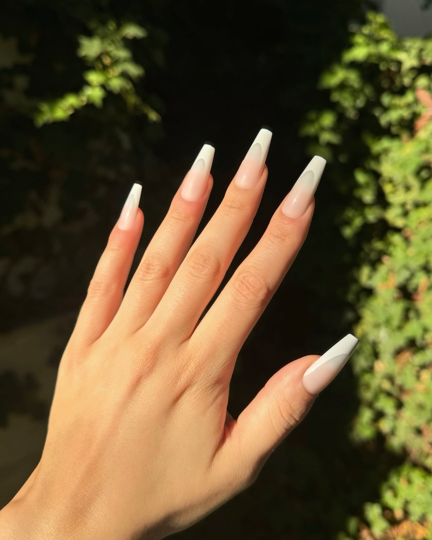 White French Nails