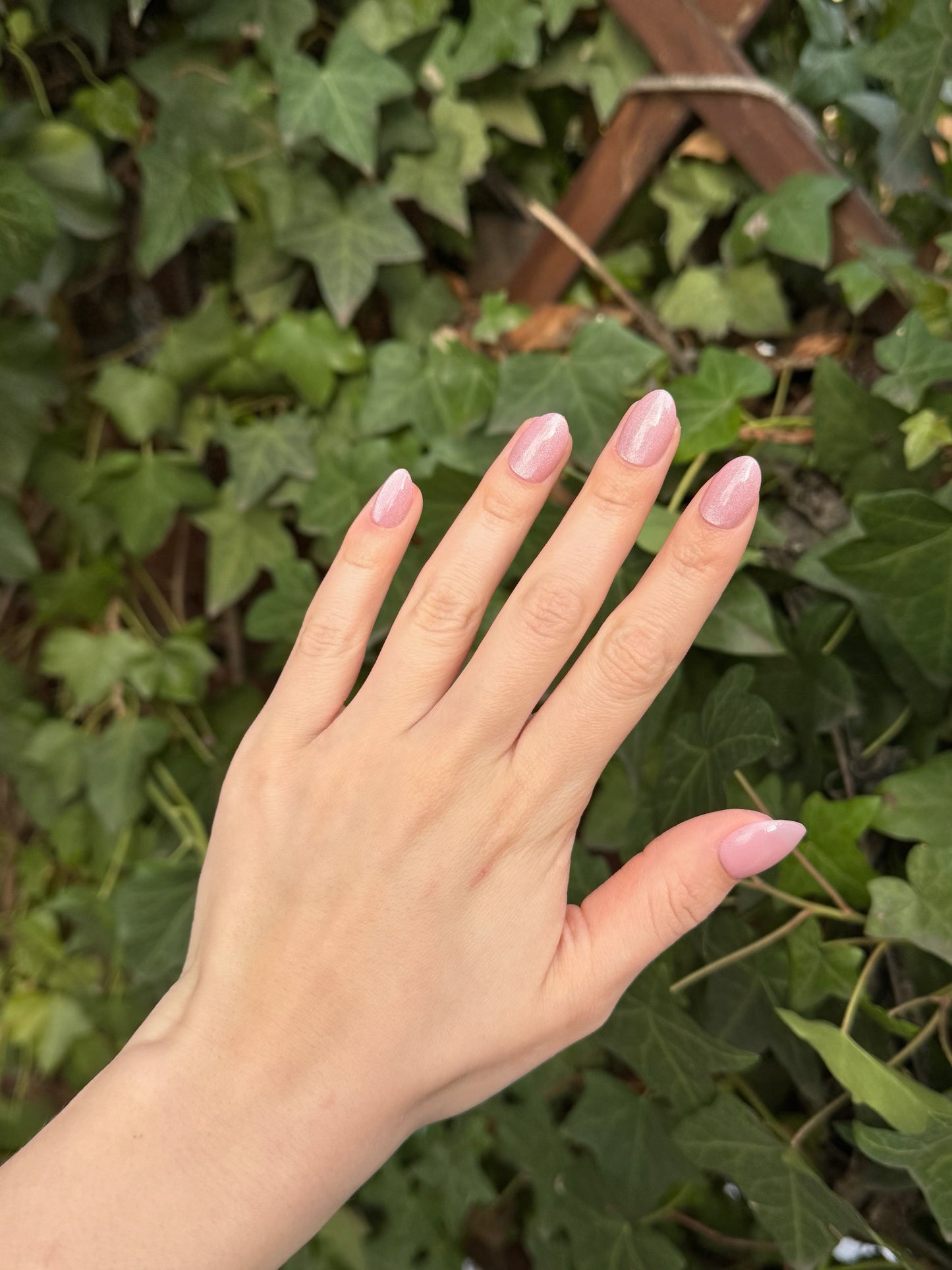 Pink Shine Nails