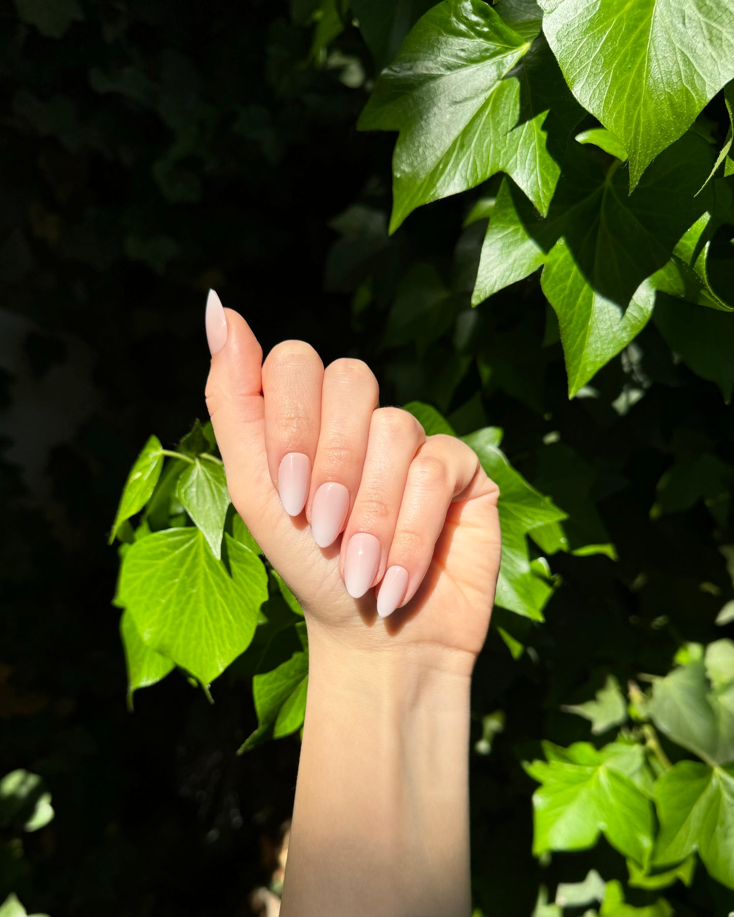 Milky Nude Nails