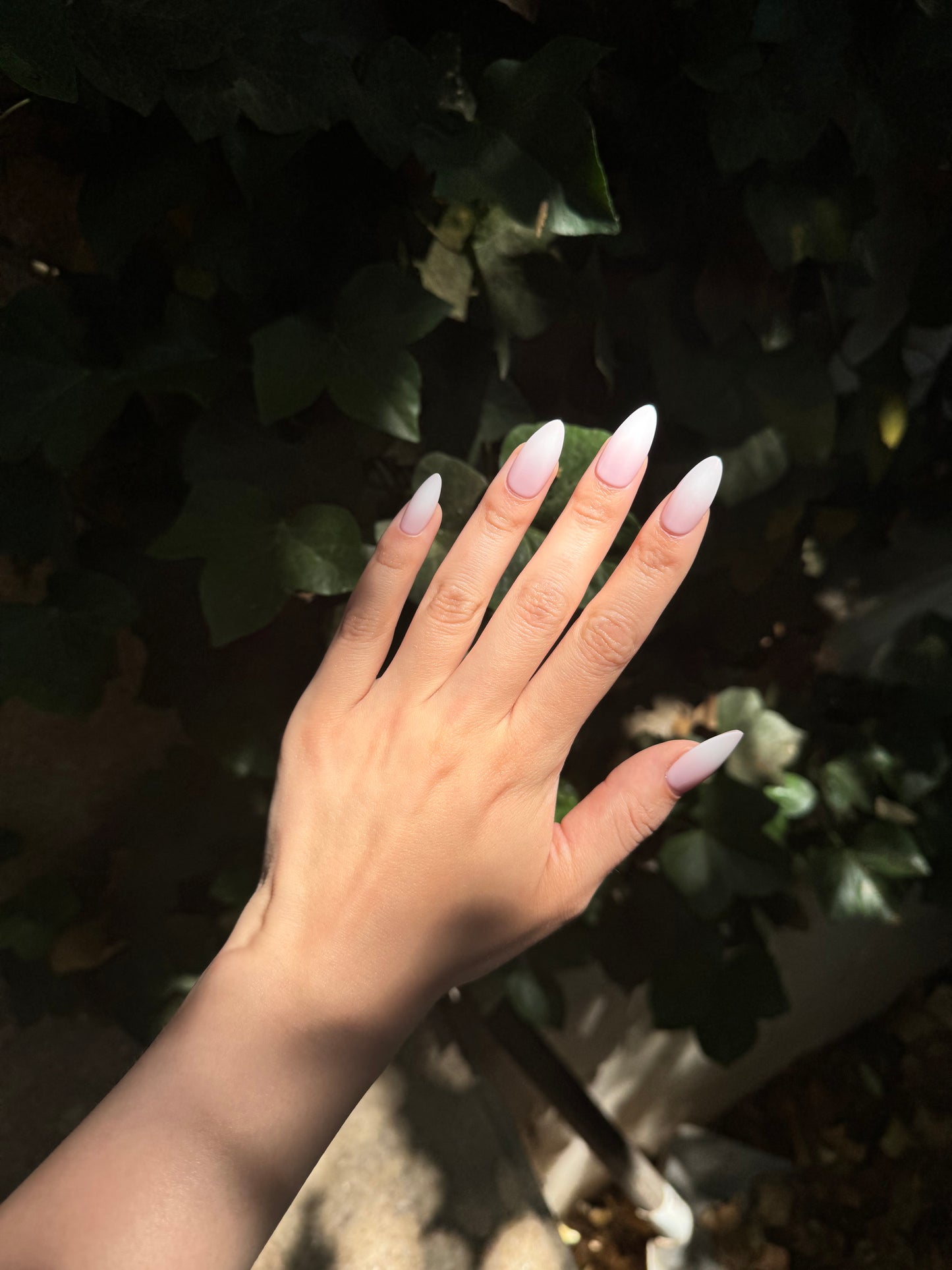 Pink Veil Nails