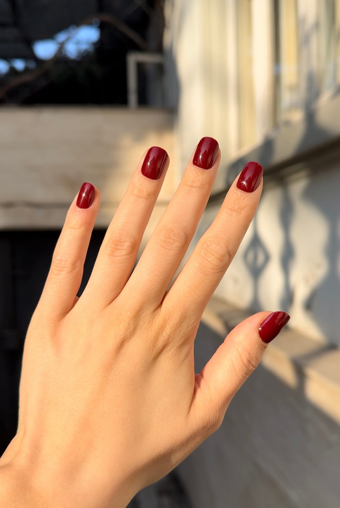 Dark Cherry Nails
