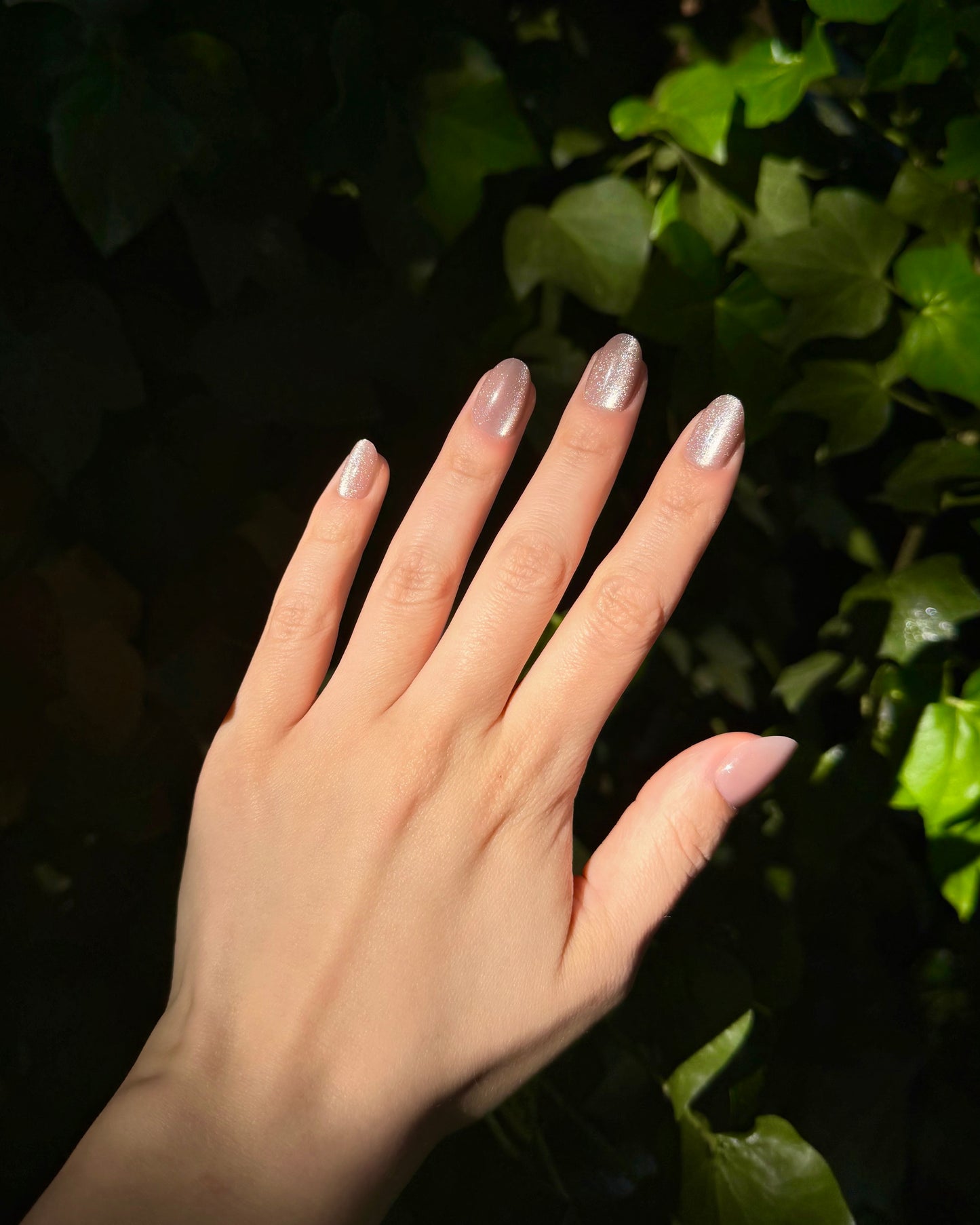 Champagne Nails