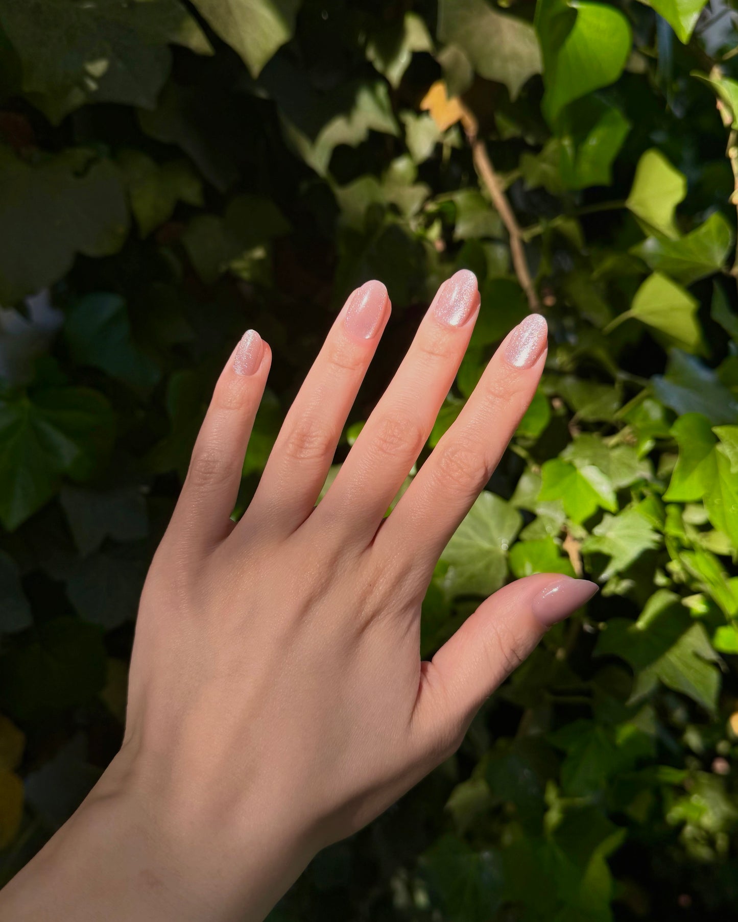 Champagne Nails