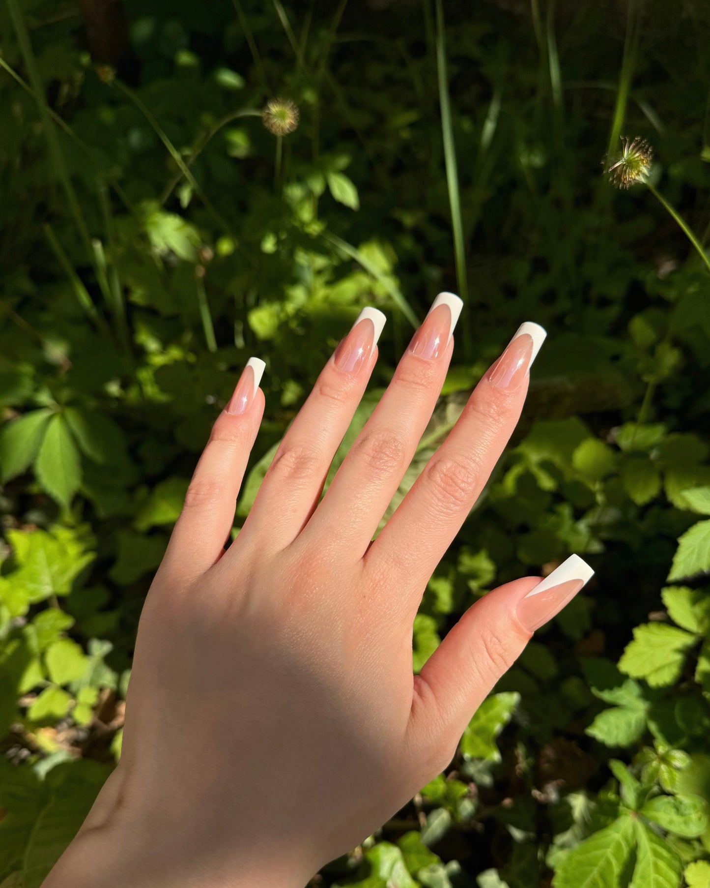 Glazed French Nails
