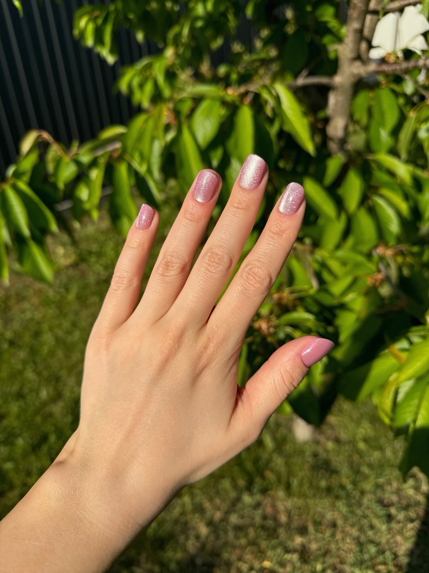 Moon Sugar Nails