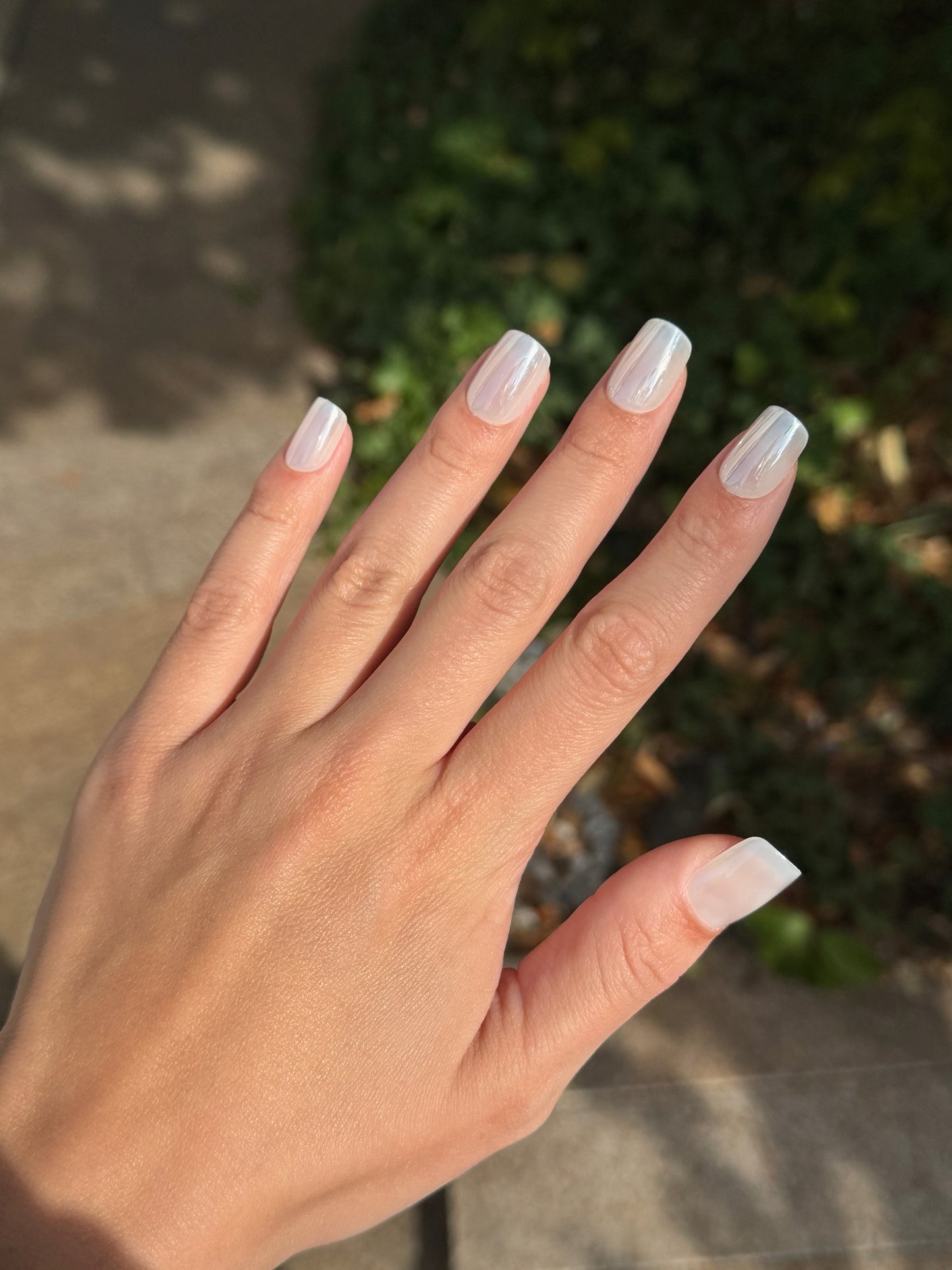 Frosted Nails